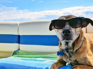 desconectar en vacaciones