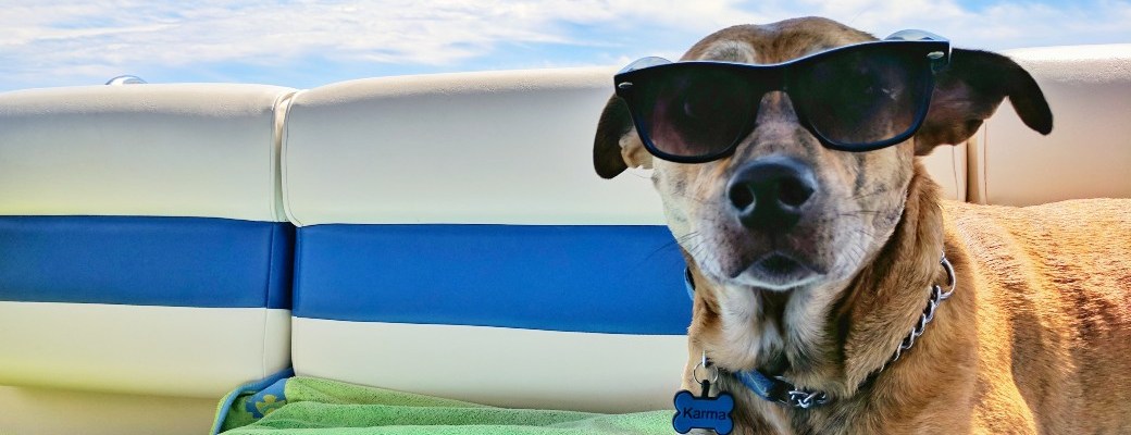 desconectar en vacaciones