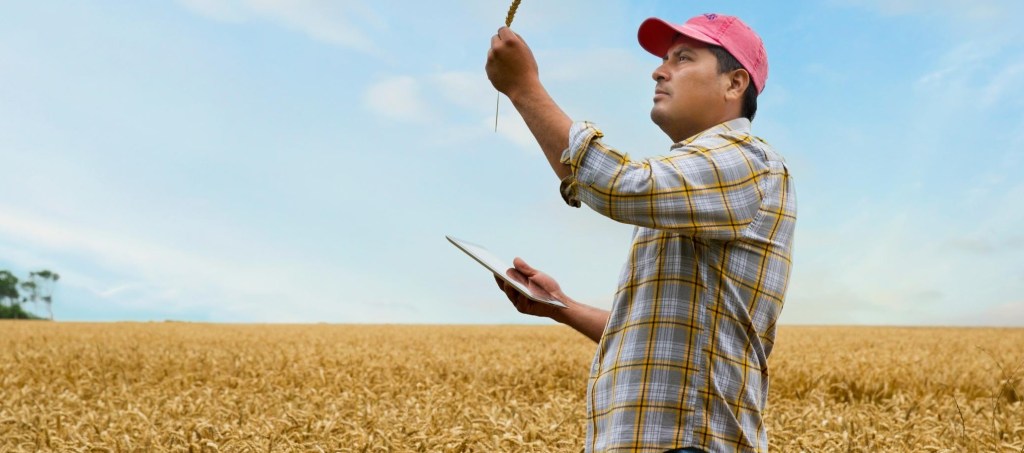 Agricultor
