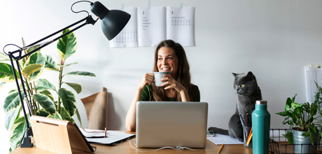 Consultor tecnológico para empresas