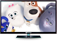 Televisión