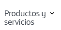 Productos y Servicios